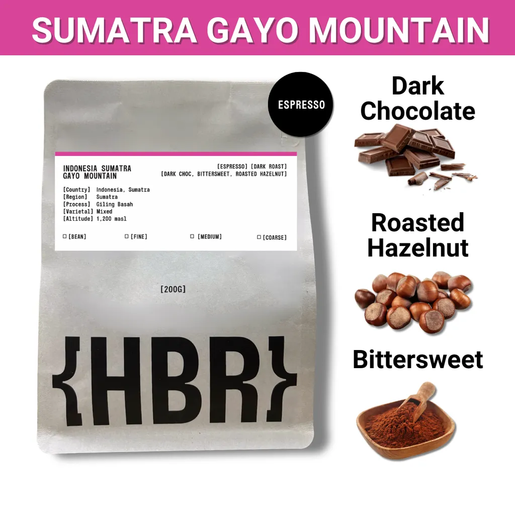 Indonesia Sumatra Gayo Mountain Coffee Bean | Dark Roast 100% Arabica Whole Bean